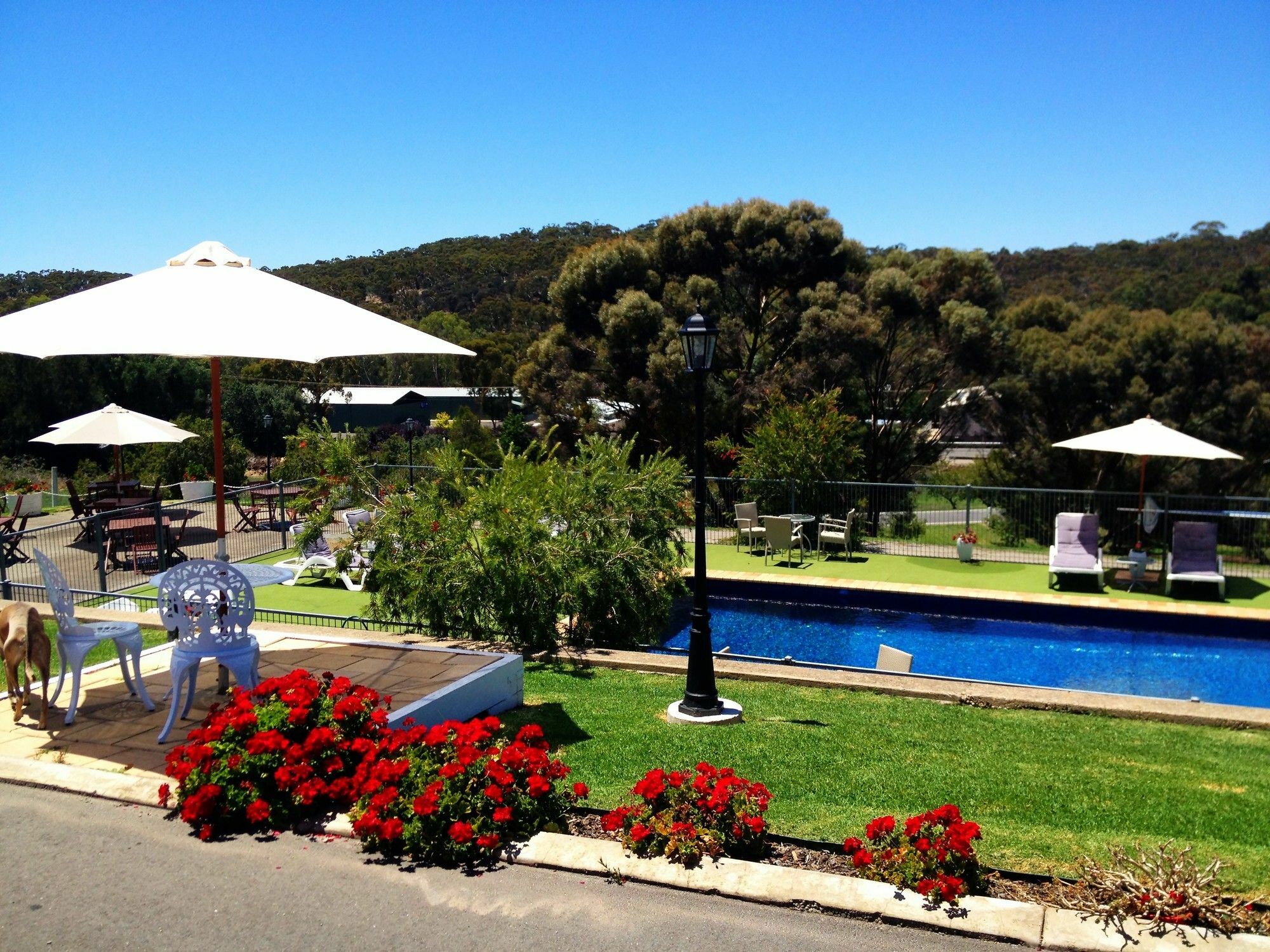 Clare Valley Motel Exteriér fotografie